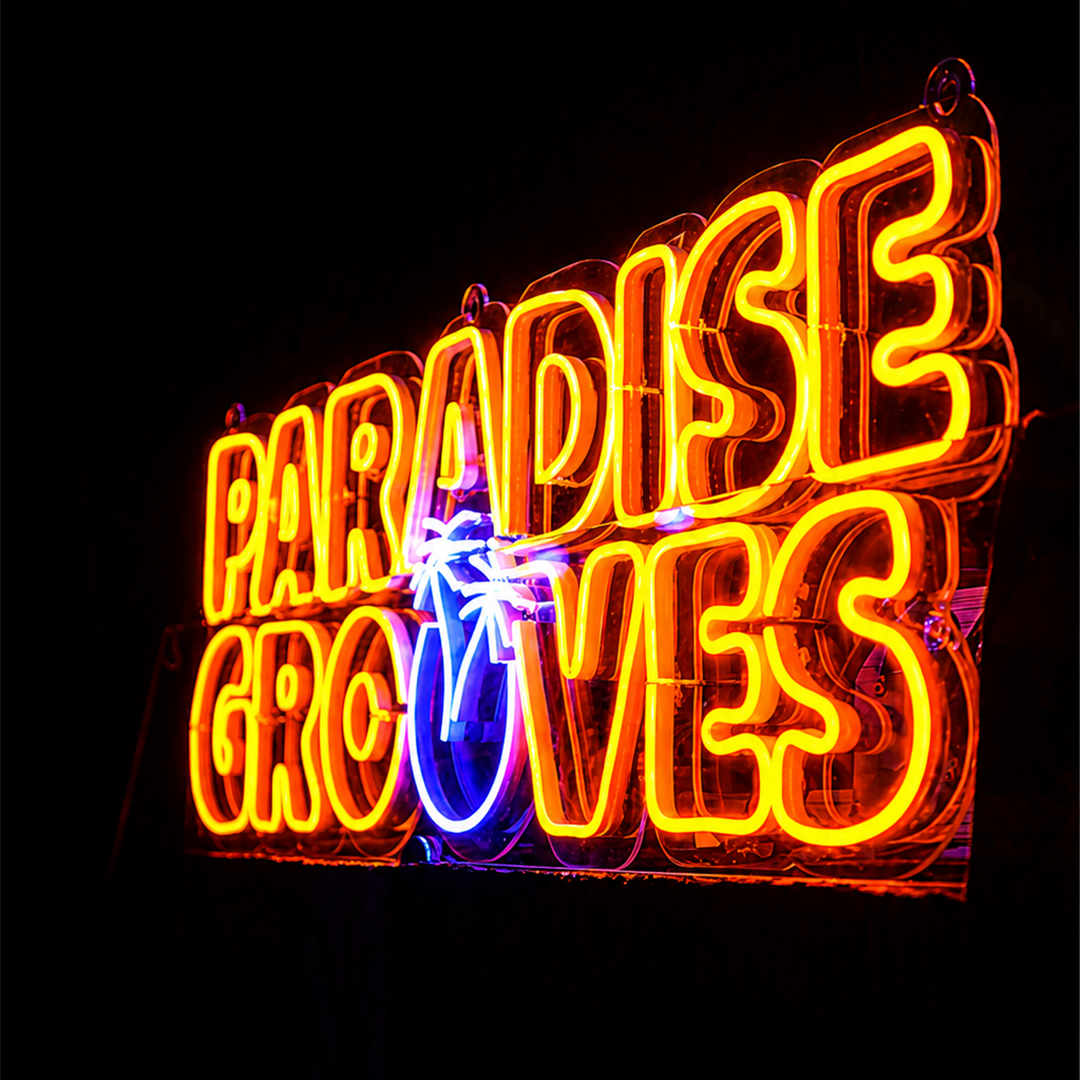Neon Flex (3)